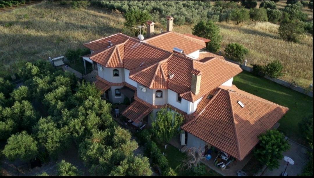 Alice Wonderland Home Nea Flogita Halkidiki Zewnętrze zdjęcie