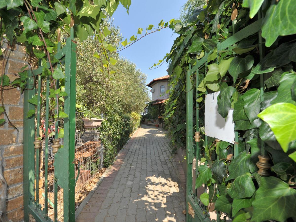 Alice Wonderland Home Nea Flogita Halkidiki Zewnętrze zdjęcie